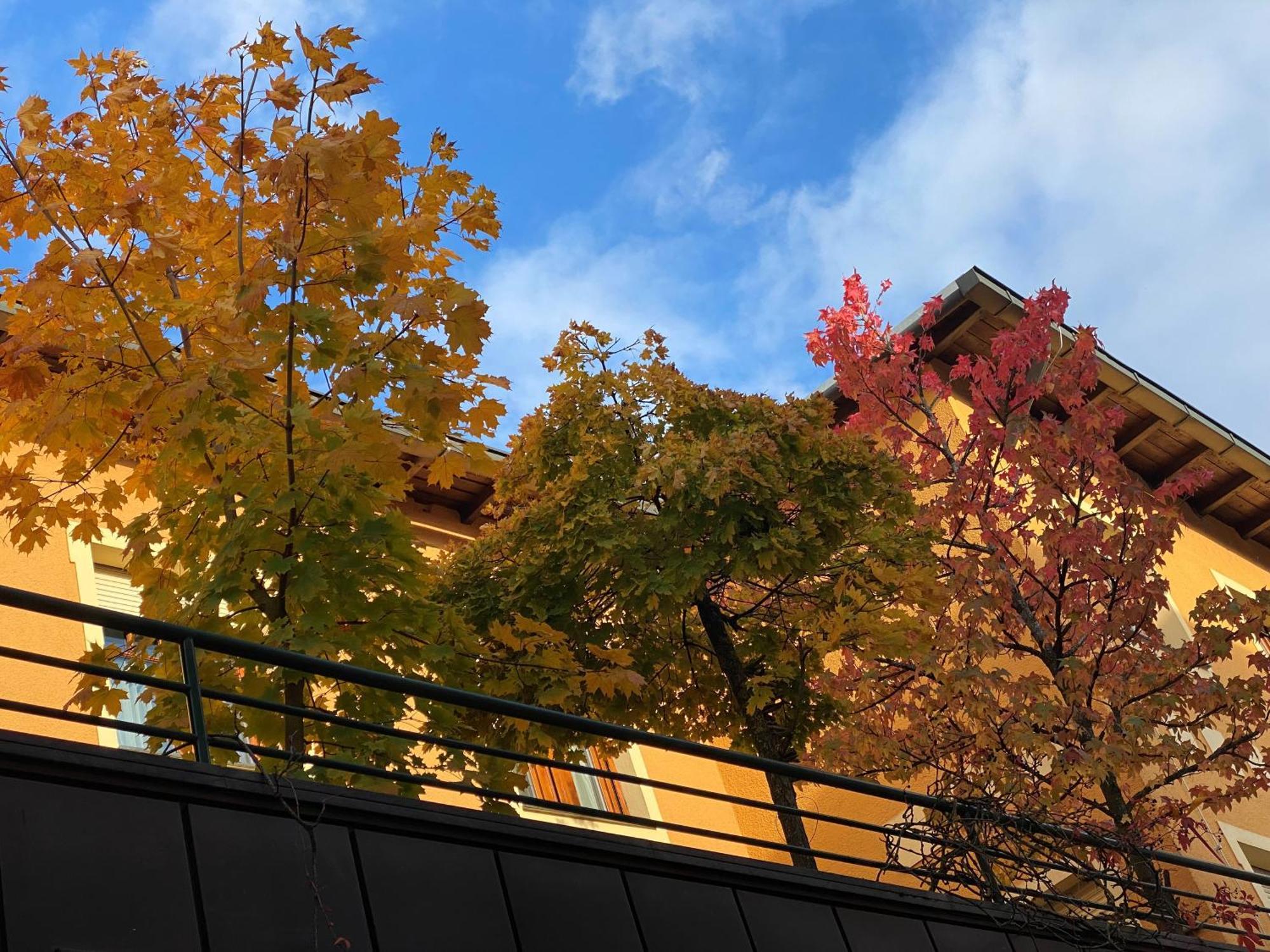 Hotel Zillners Einkehr *** Altheim エクステリア 写真